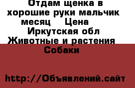 Отдам щенка в хорошие руки мальчик 1месяц  › Цена ­ 0 - Иркутская обл. Животные и растения » Собаки   